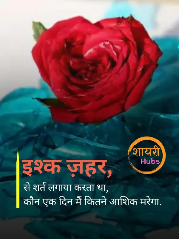 Heart Touching Shayari In Hindi (20) Heart Touching Shayari In Hindi ()