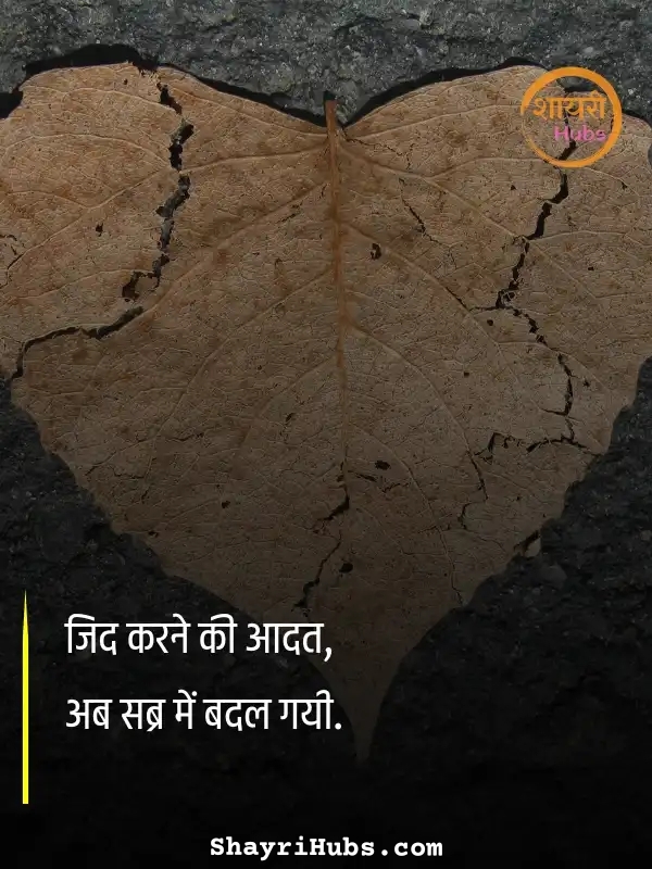 sorry shayari in hindi_40 sorry shayari in hindi