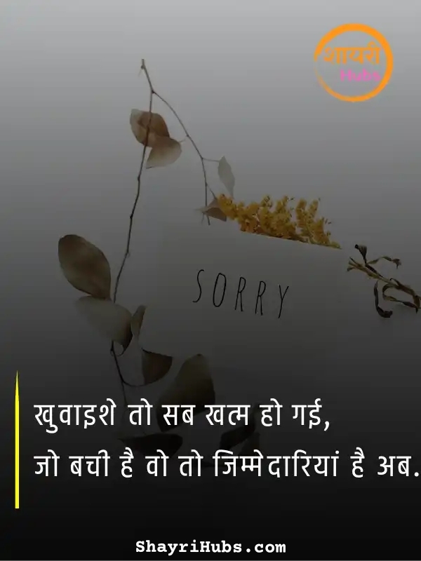sorry shayari in hindi_63 sorry shayari in hindi