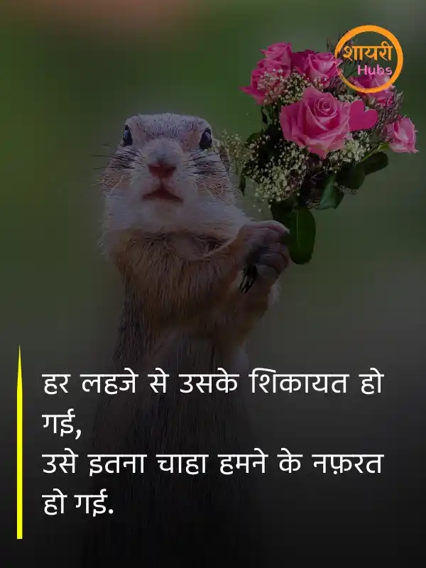nafrat shayari hindi ()