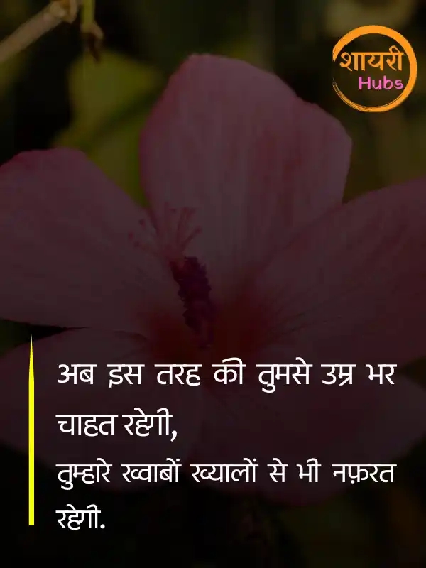 nafrat shayari hindi ()